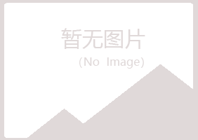 巫山县吵闹批发有限公司